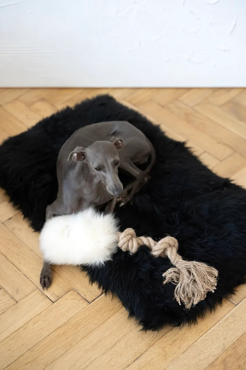 Hundezerrspielzeug aus natürlichem Schaffell - Weiß