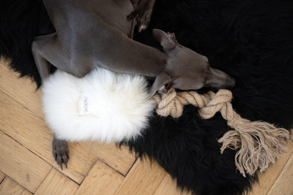 Hundezerrspielzeug aus natürlichem Schaffell - Weiß